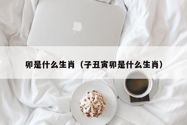 卯是什么生肖（子丑寅卯是什么生肖）