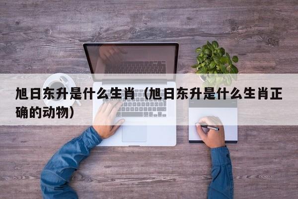 旭日东升是什么生肖（旭日东升是什么生肖正确的动物）