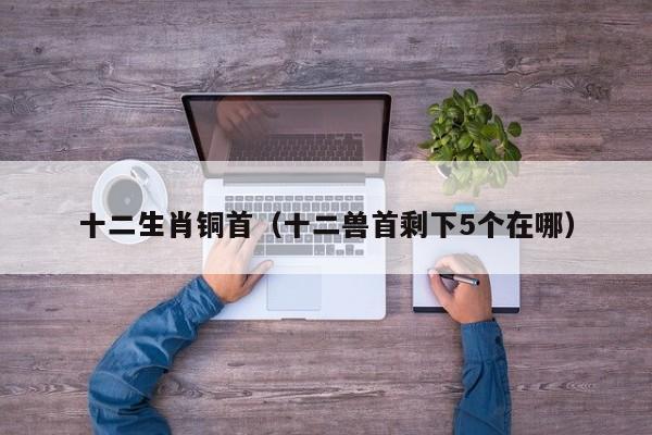 十二生肖铜首（十二兽首剩下5个在哪）