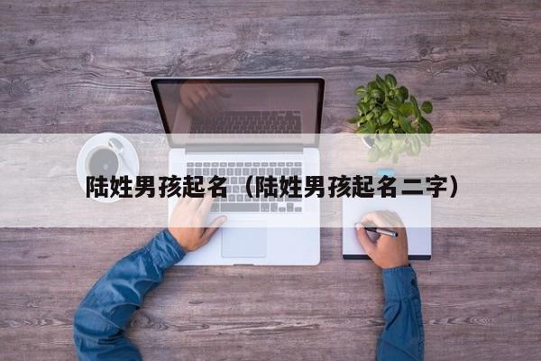 陆姓男孩起名（陆姓男孩起名二字）