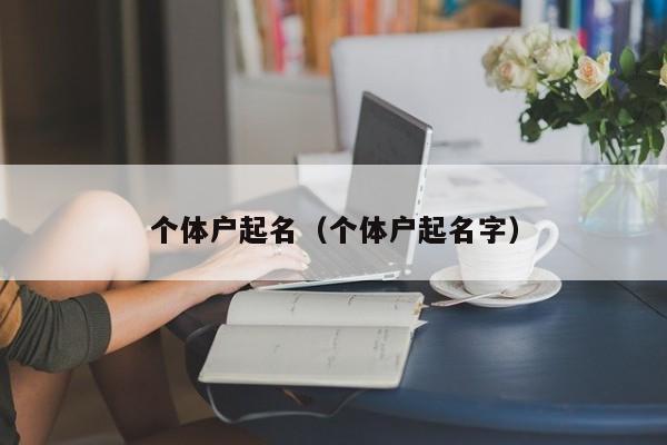 个体户起名（个体户起名字）