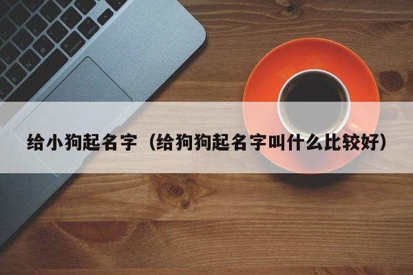 给小狗起名字（给狗狗起名字叫什么比较好）