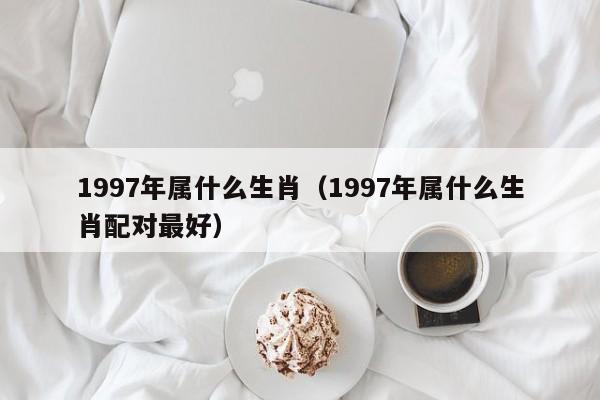 1997年属什么生肖（1997年属什么生肖配对最好）
