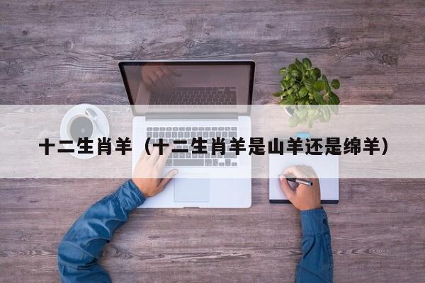 十二生肖羊（十二生肖羊是山羊还是绵羊）