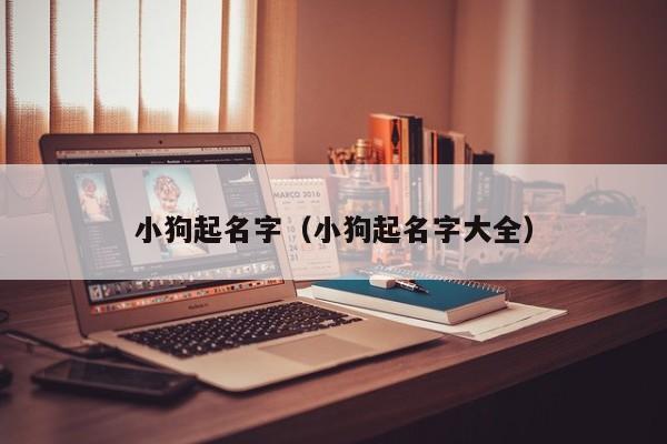 小狗起名字（小狗起名字大全）
