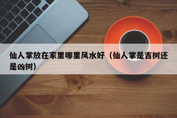 仙人掌放在家里哪里风水好（仙人掌是吉树还是凶树）