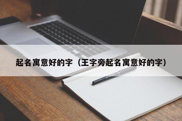 起名寓意好的字（王字旁起名寓意好的字）