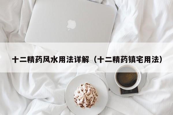 十二精药风水用法详解（十二精药镇宅用法）