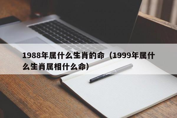 1988年属什么生肖的命（1999年属什么生肖属相什么命）