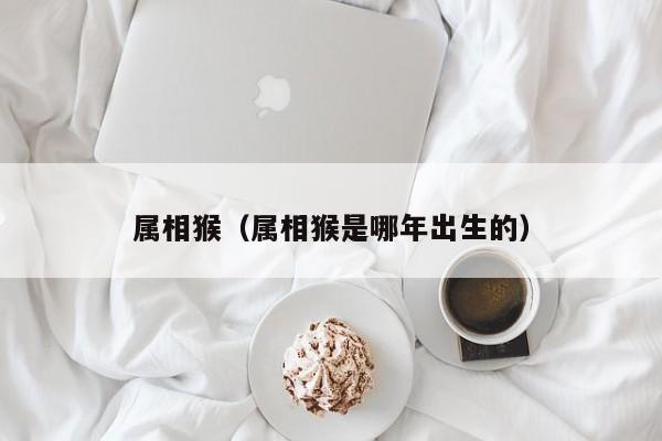 属相猴（属相猴是哪年出生的）