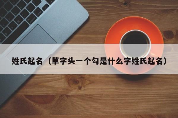 姓氏起名（草字头一个勾是什么字姓氏起名）