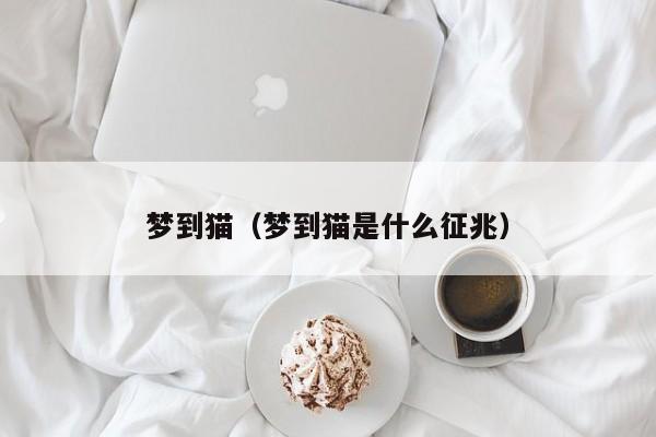 梦到猫（梦到猫是什么征兆）