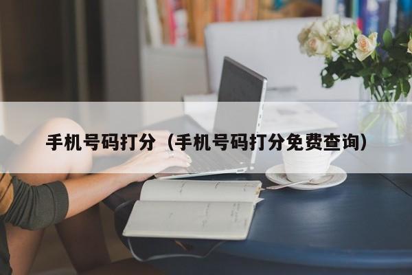 手机号码打分（手机号码打分免费查询）