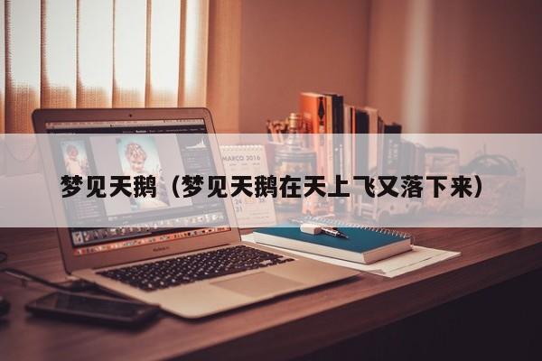 梦见天鹅（梦见天鹅在天上飞又落下来）
