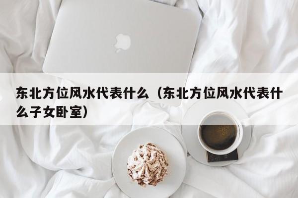 东北方位风水代表什么（东北方位风水代表什么子女卧室）