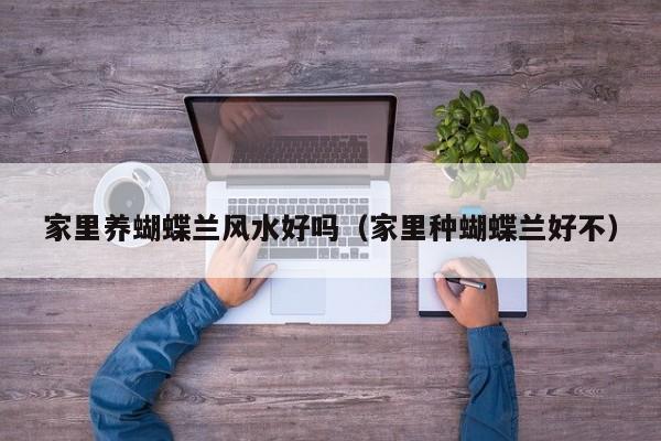 家里养蝴蝶兰风水好吗（家里种蝴蝶兰好不）