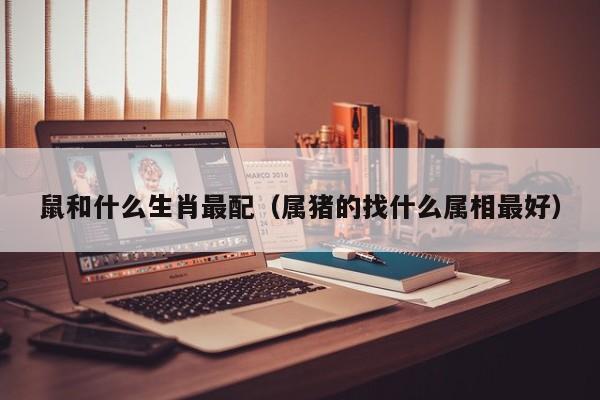 鼠和什么生肖最配（属猪的找什么属相最好）