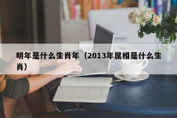 明年是什么生肖年（2013年属相是什么生肖）