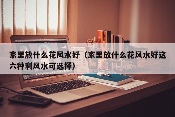 家里放什么花风水好（家里放什么花风水好这六种利风水可选择）
