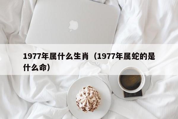 1977年属什么生肖（1977年属蛇的是什么命）