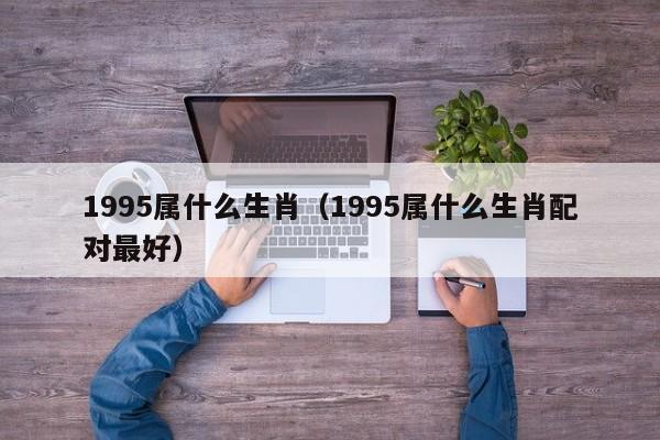 1995属什么生肖（1995属什么生肖配对最好）