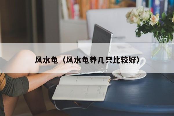 风水龟（风水龟养几只比较好）