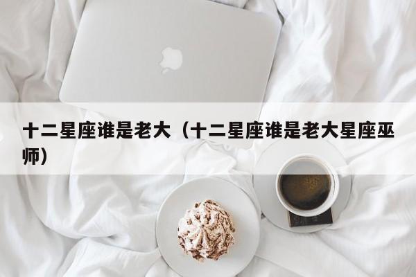 十二星座谁是老大（十二星座谁是老大星座巫师）
