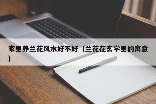 家里养兰花风水好不好（兰花在玄学里的寓意）