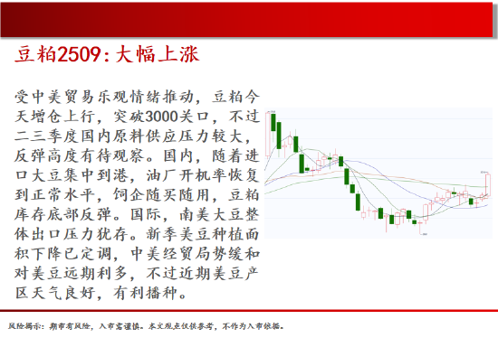 中天期货:生猪在底部等待 原油区间震荡