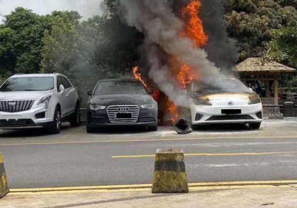 如何评价电动车品牌?玫瑰之约电动车性能怎么样?